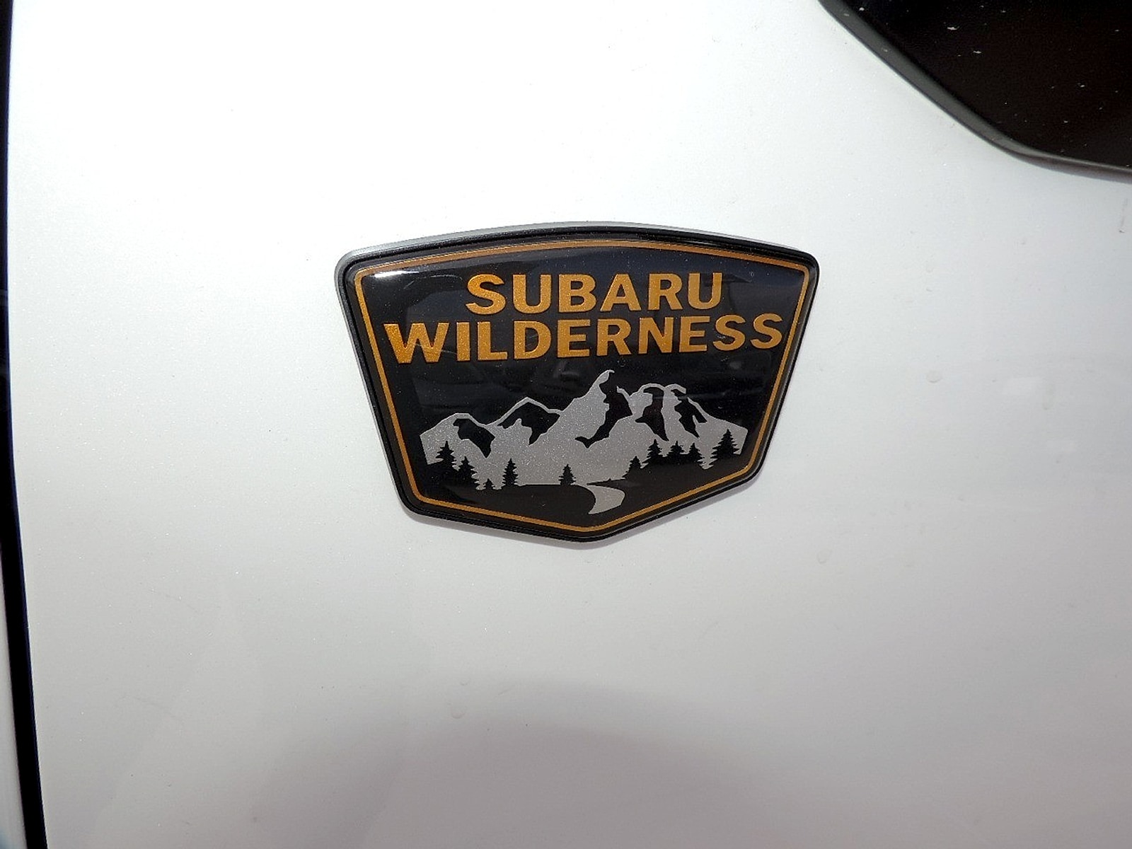 2026 Subaru Forester Wilderness - Photo 9