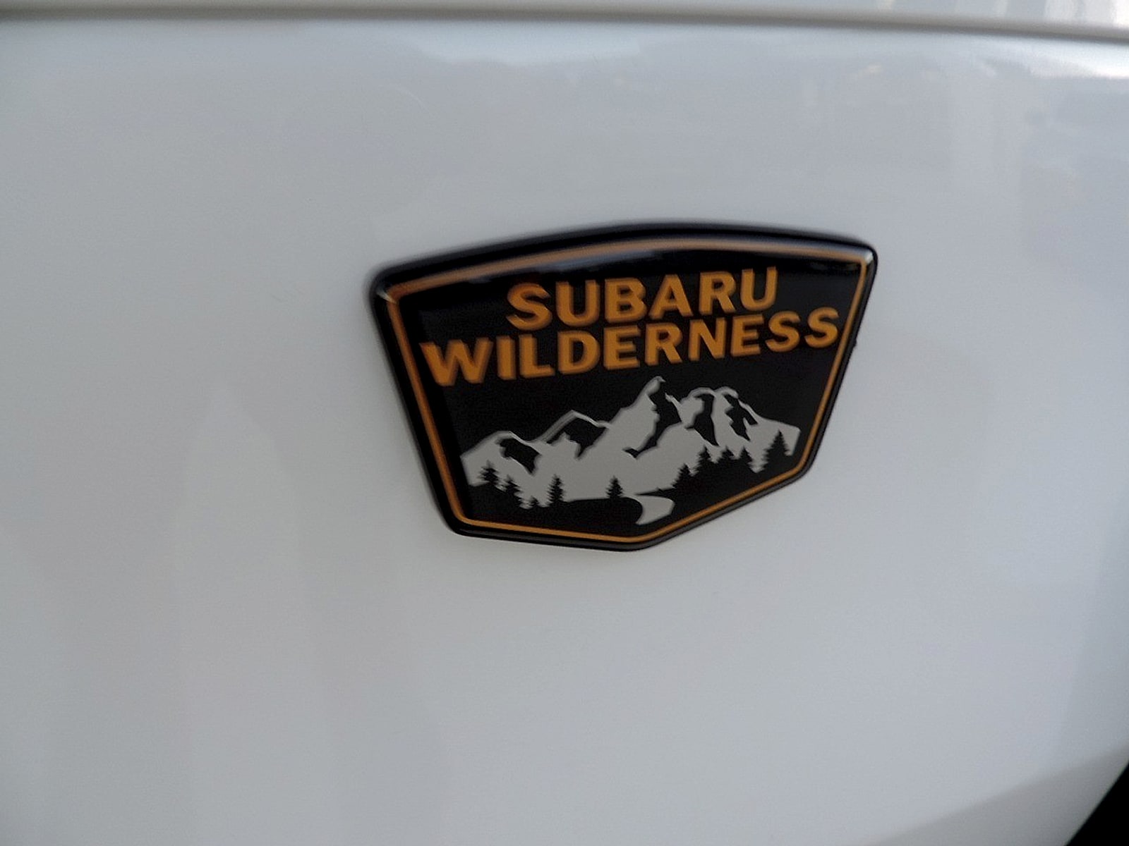 2026 Subaru Forester Wilderness - Photo 11