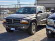 Dodge Dakota