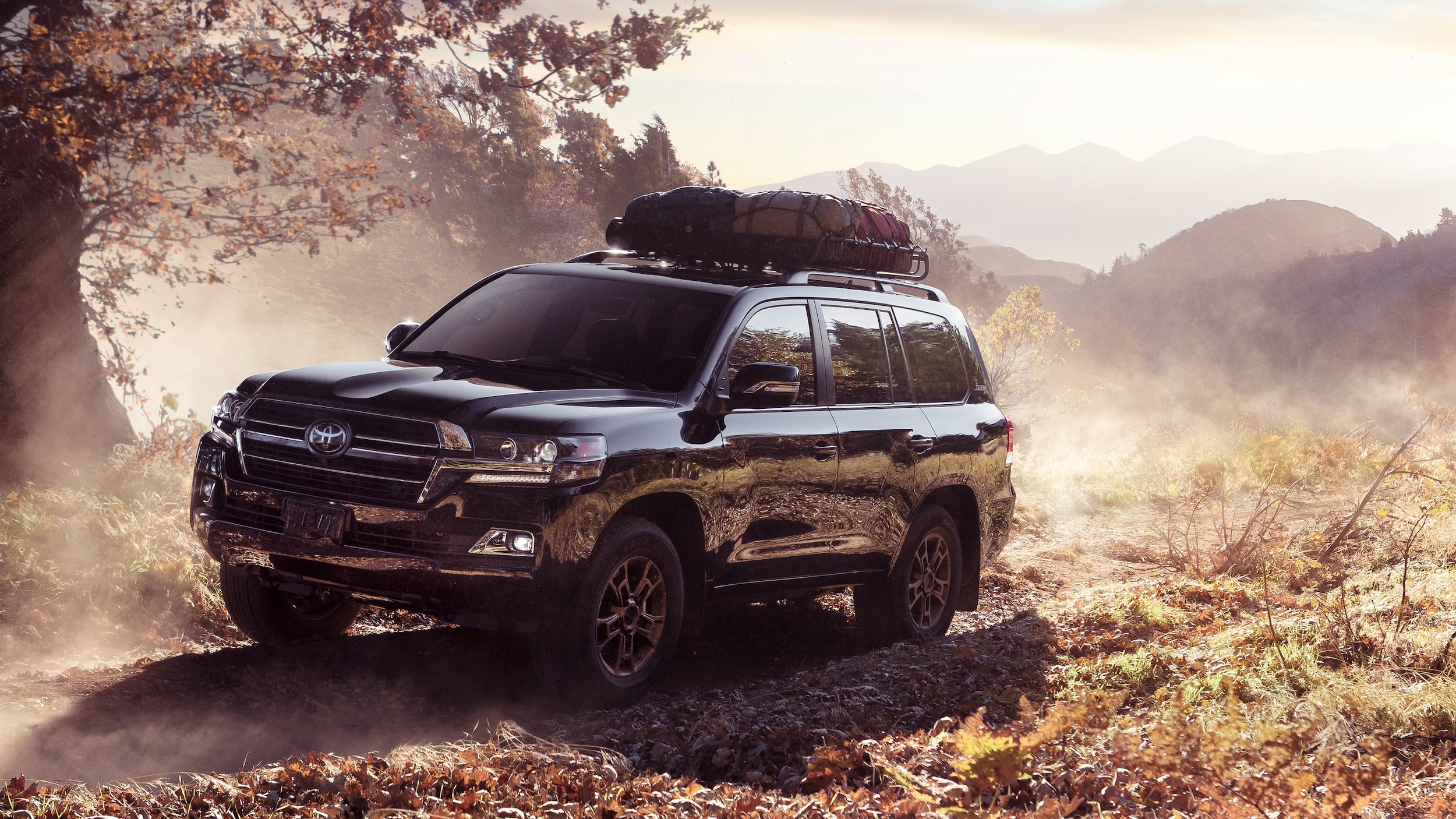 2020 Toyota Land Cruiser Heritage | Steve Landers Toyota NWA