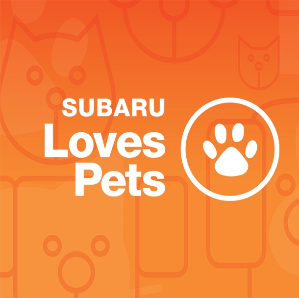 Subaru Loves Pets