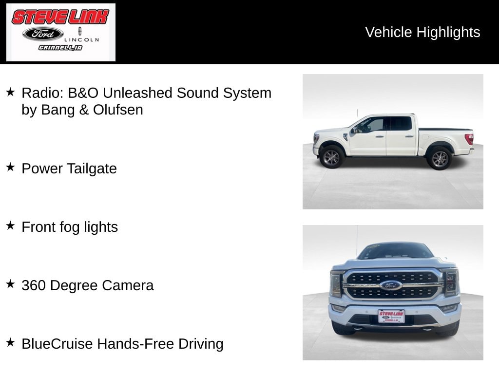 2021 Ford F-150 Platinum - Photo 10