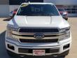 2020 Ford F-150 Platinum Truck
