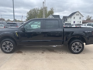 2025 Ford F-150 STX Truck