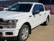 2020 Ford F-150 Platinum Truck 2020 Ford F-150 Platinum Truck