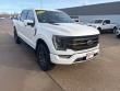 2023 Ford F-150 Tremor Truck