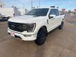 2023 Ford F-150 Tremor Truck