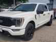 2023 Ford F-150 Platinum Truck 2023 Ford F-150 Platinum Truck
