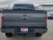 2013 Ford F-150 FX4 Truck
