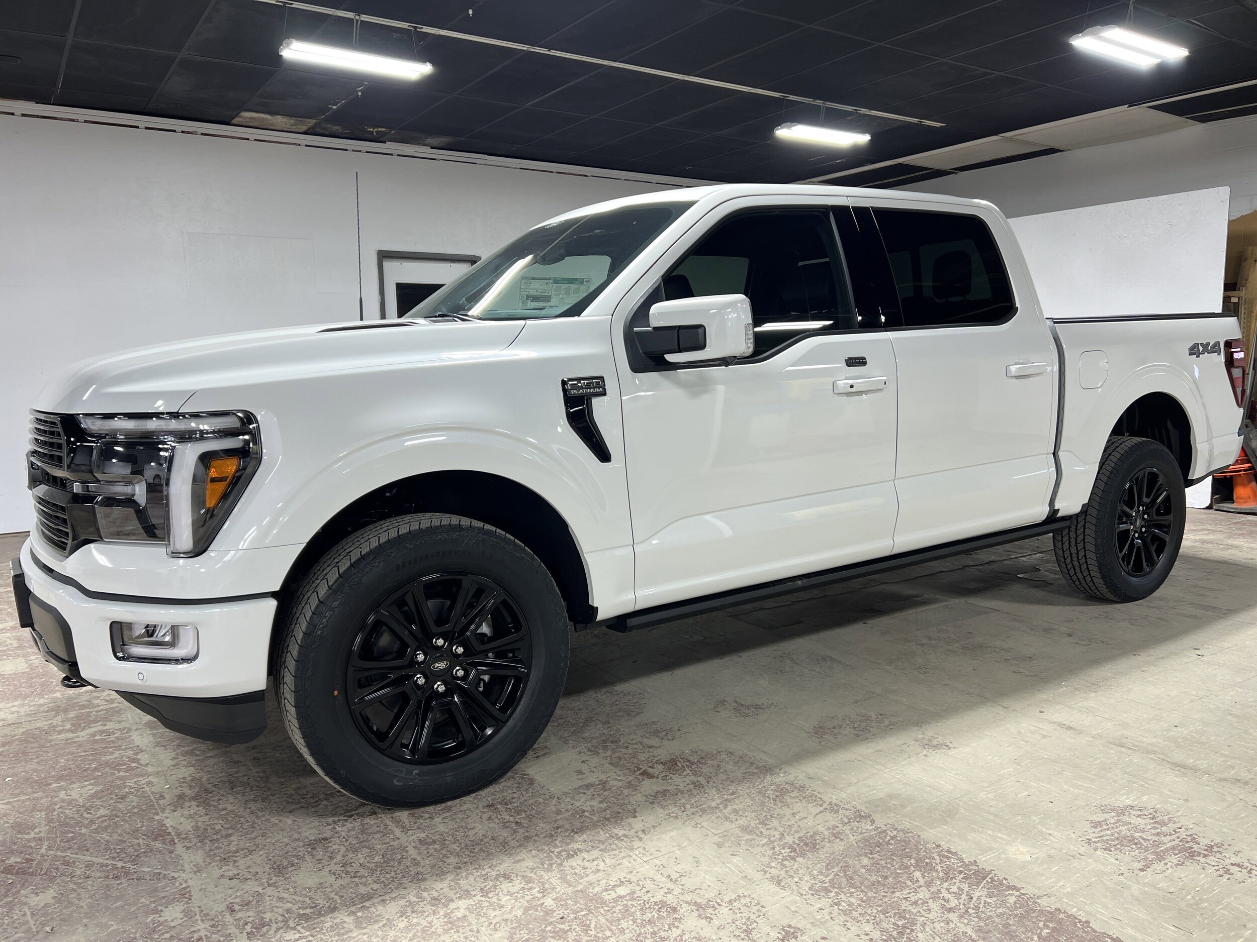 2025 Ford F-150 Platinum photo 2