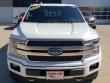 2020 Ford F-150 Platinum Truck 2020 Ford F-150 Platinum Truck