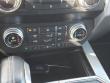 2020 Ford F-150 Platinum Truck