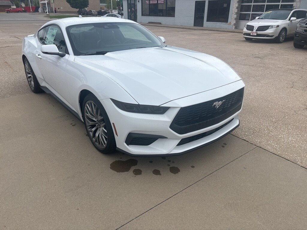 2025 Ford Mustang EcoBoost Premium photo 3