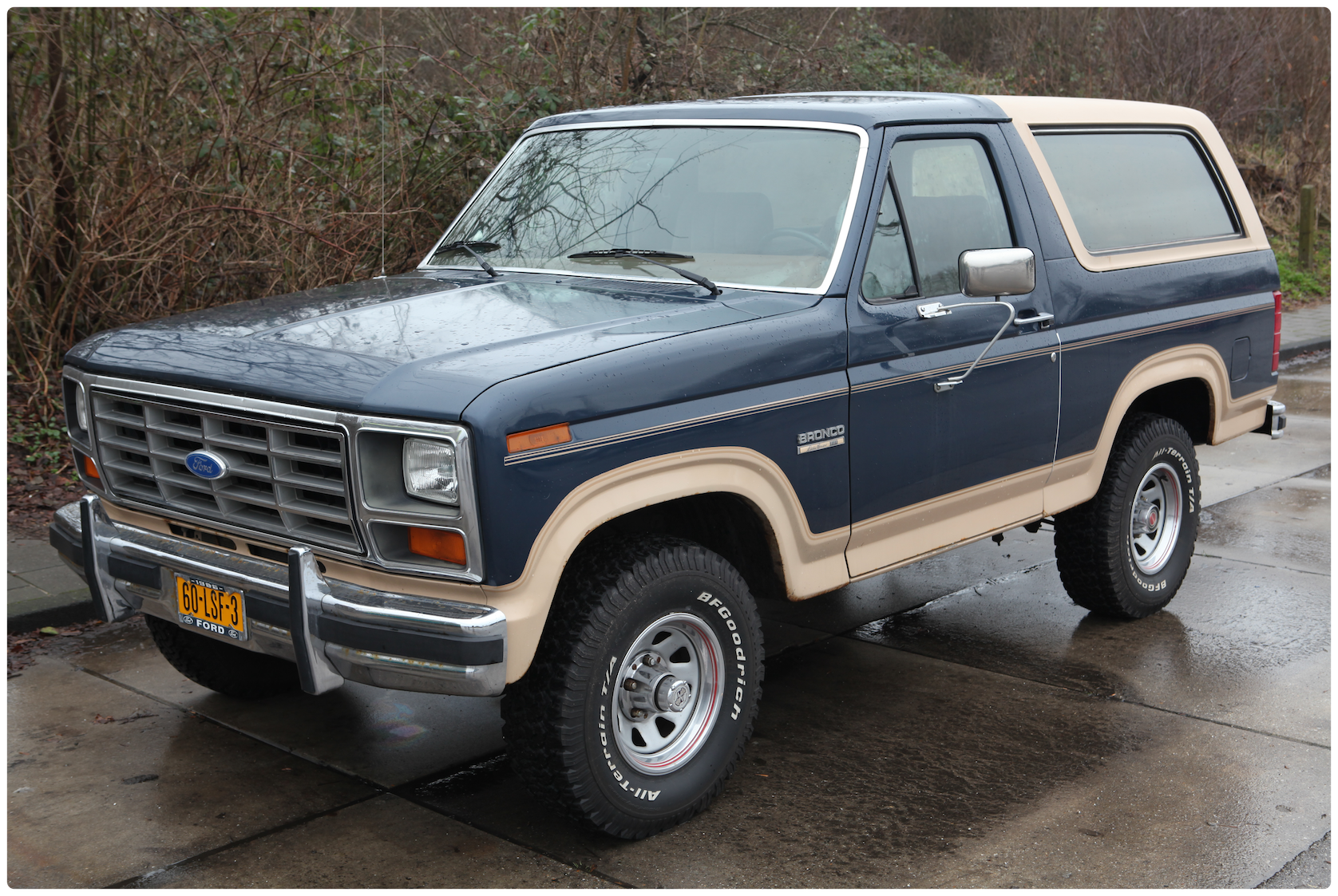 3rd Gen Ford Bronco - WC.png