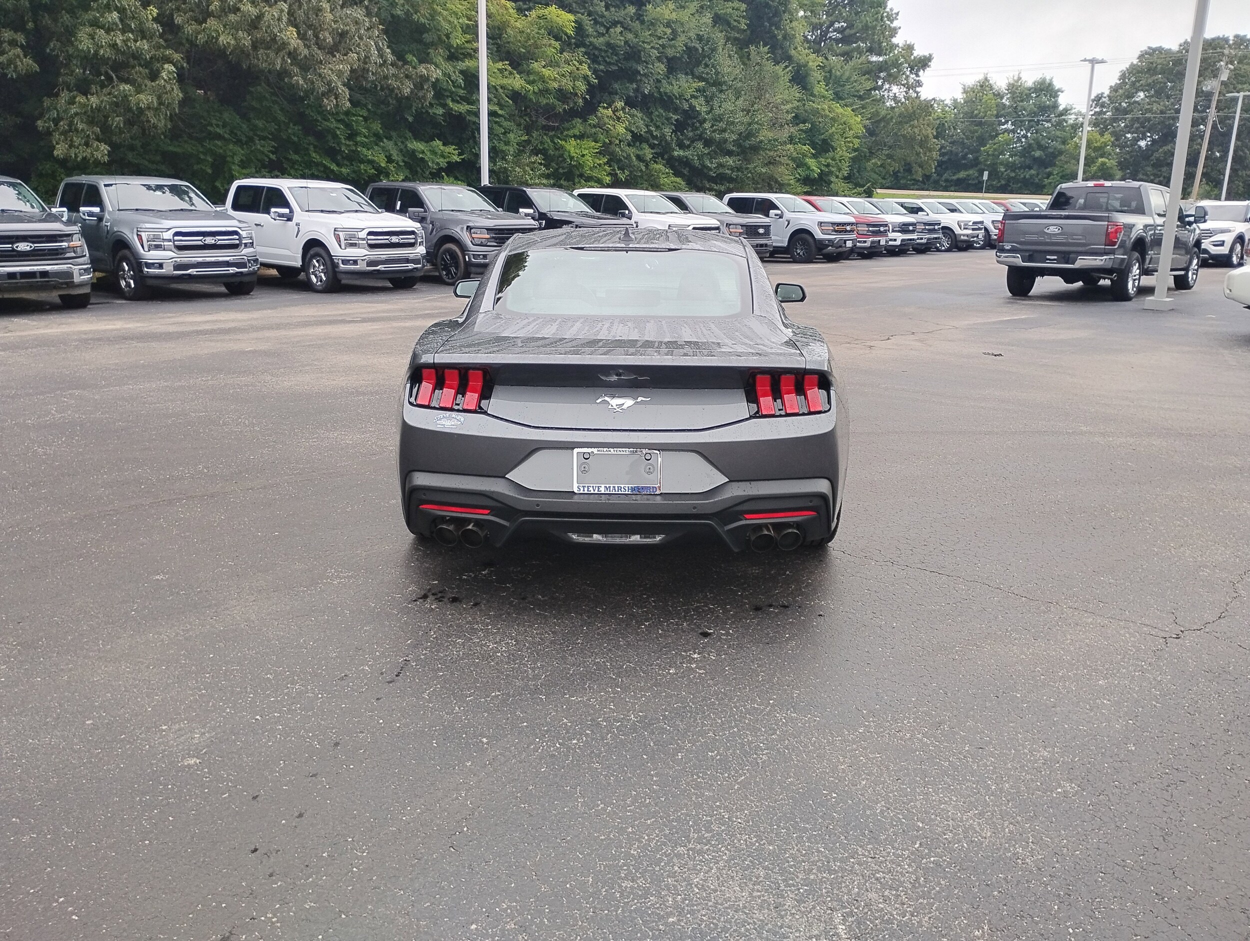 2025 Ford Mustang EcoBoost photo 3