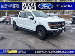 2025 Ford F-150 Tremor Truck 4WD