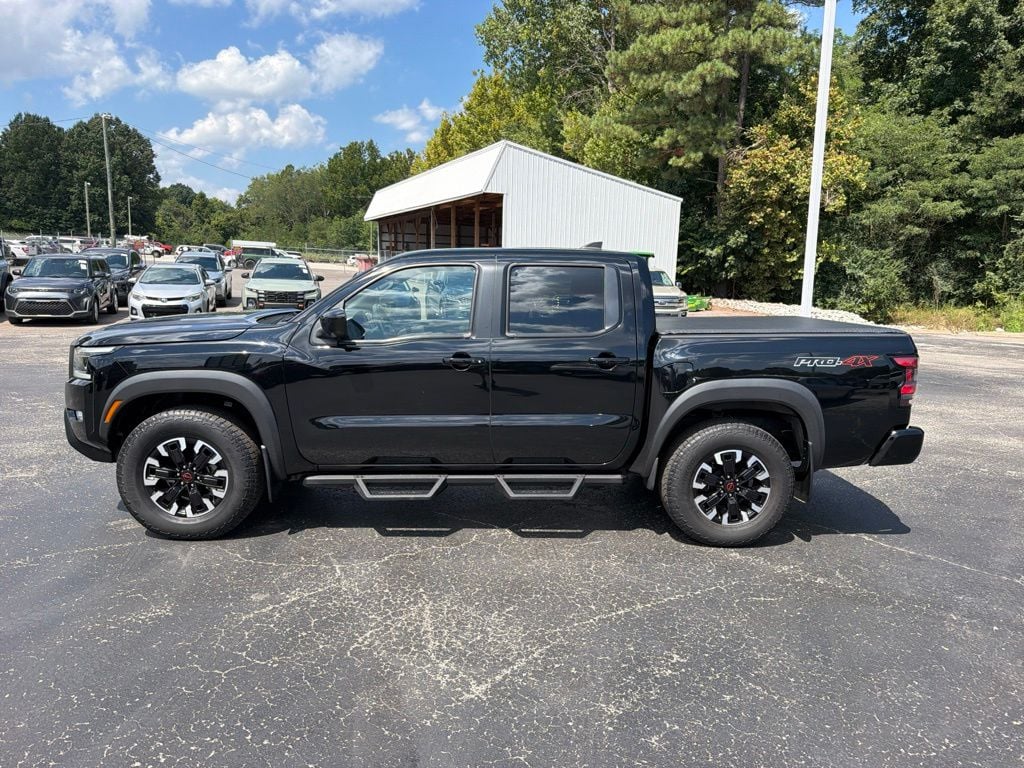 Photo 6