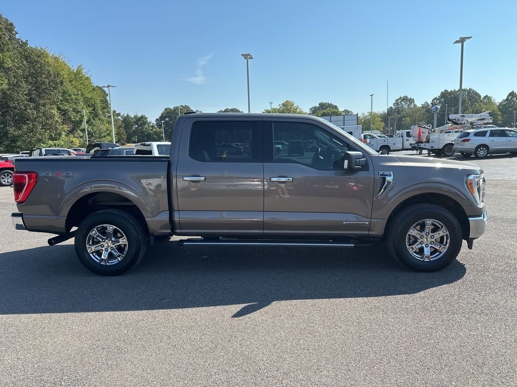 Used 2021 Ford F-150 XLT Truck