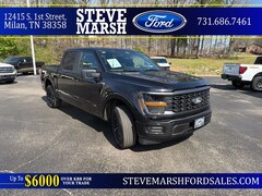 2025 Ford F-150 STX Truck