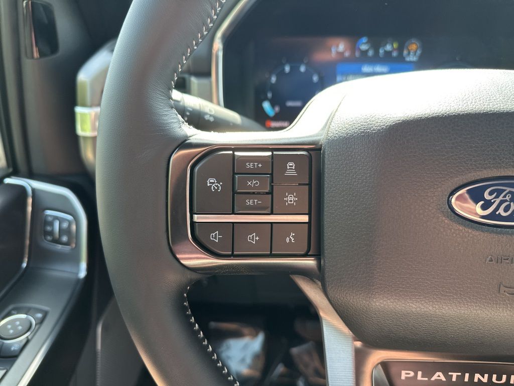 2026 Ford F-150 Platinum - Photo 25