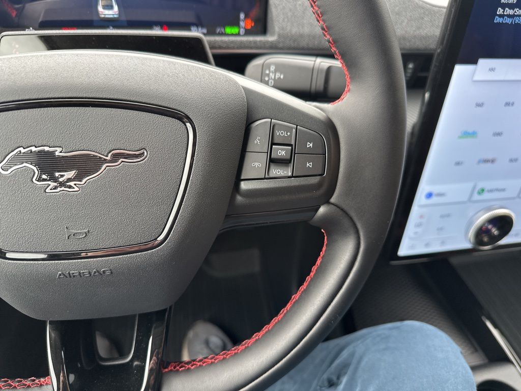 2025 Ford Mustang Mach-E Premium - Photo 21