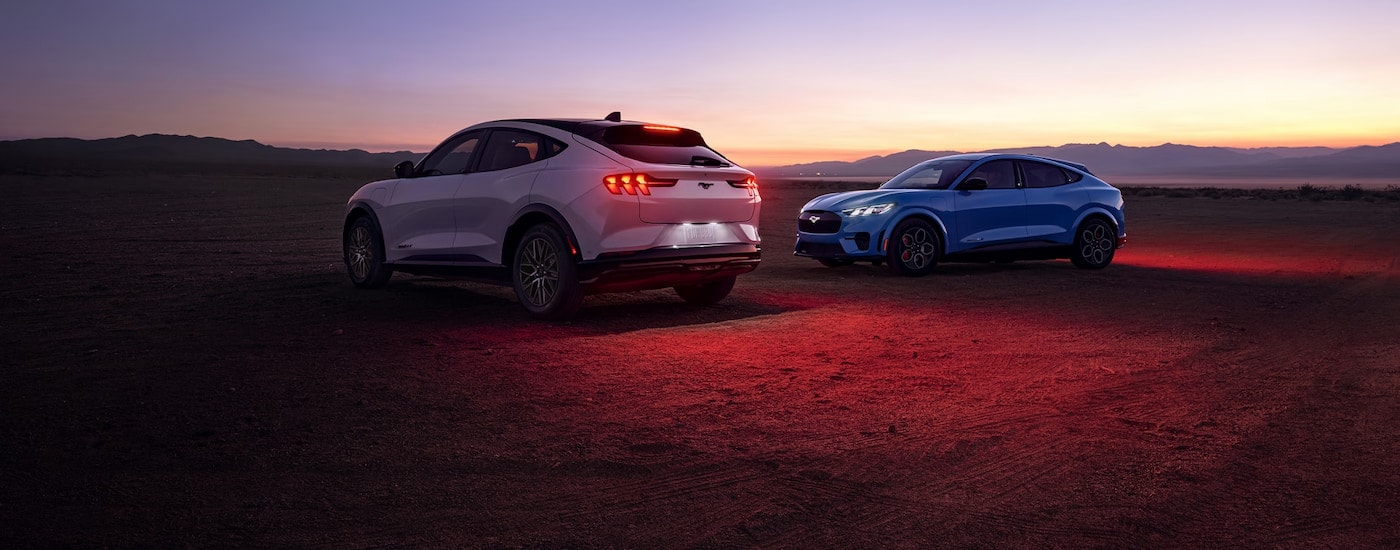 Two Ford Mustang Mach-E SUVs parked in the desert at dusk.
