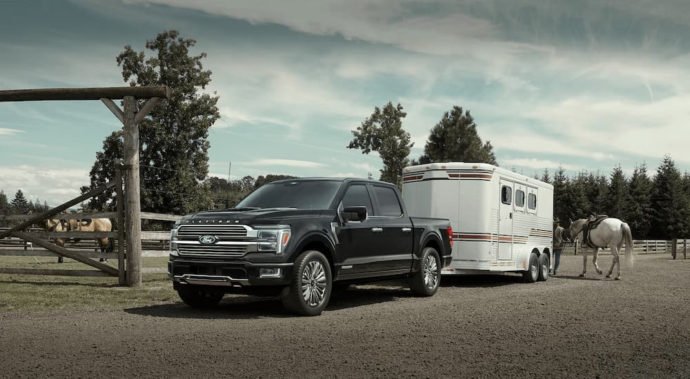 A black 2025 Ford F-150 Platinum is towing a horse trailer on a farm.