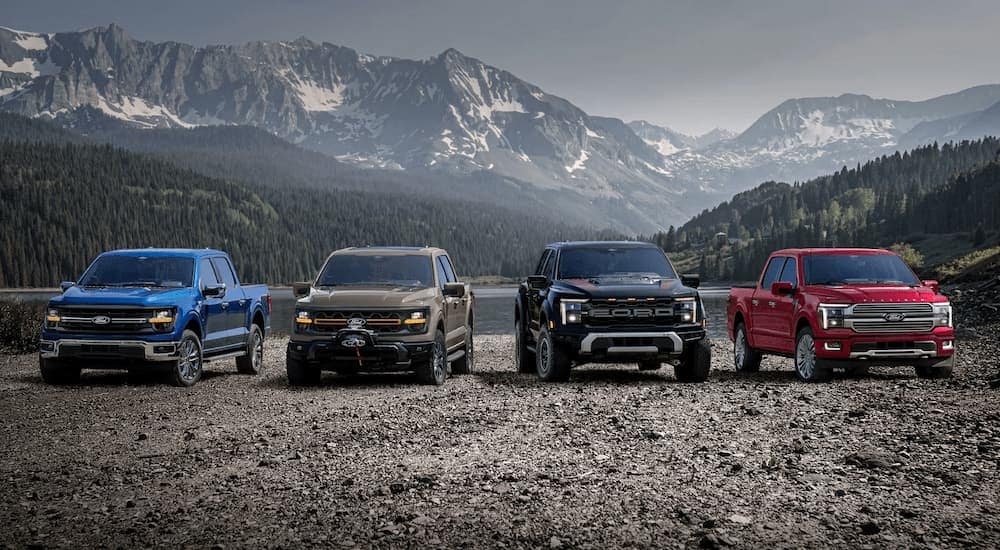 The 2025 Ford F-150 lineup for sale near Jackson parked on dirt.