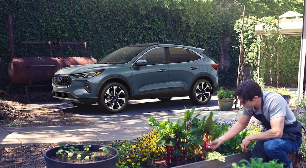 Grey 2025 Ford Escape Platinum parked on a driveway by a garden.