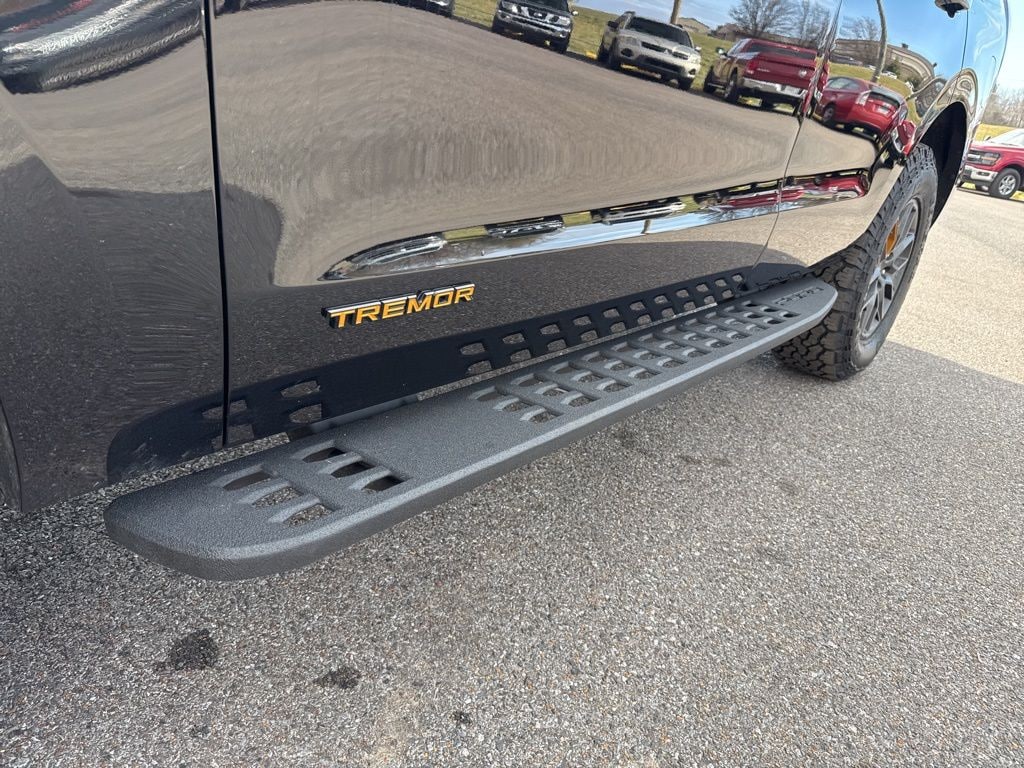 2025 Ford Expedition Tremor - Photo 10