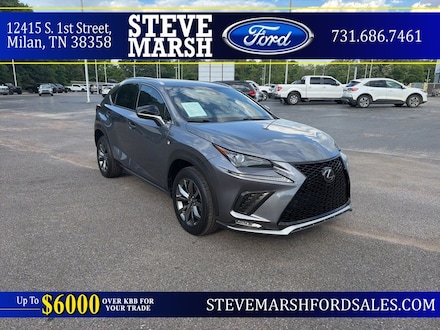 2021 LEXUS NX 300 F Sport SUV
