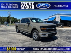 2025 Ford F-150 XLT Truck