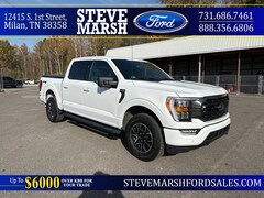 2023 Ford F-150 XLT Truck