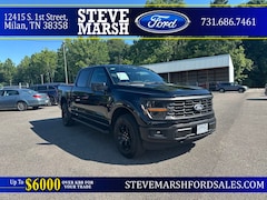2024 Ford F-150 STX Truck