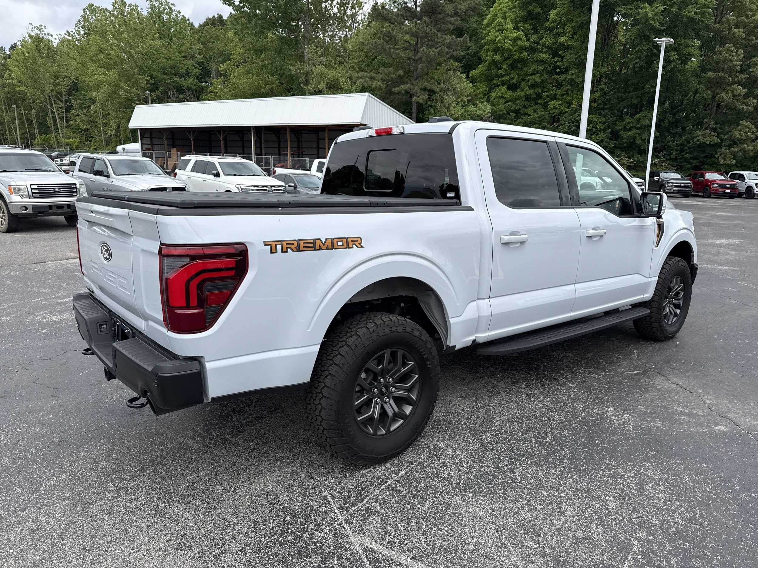 2025 Ford F-150 Tremor photo 3