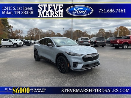 2025 Ford Mustang Mach-E Premium CROSSOVERS 4x2