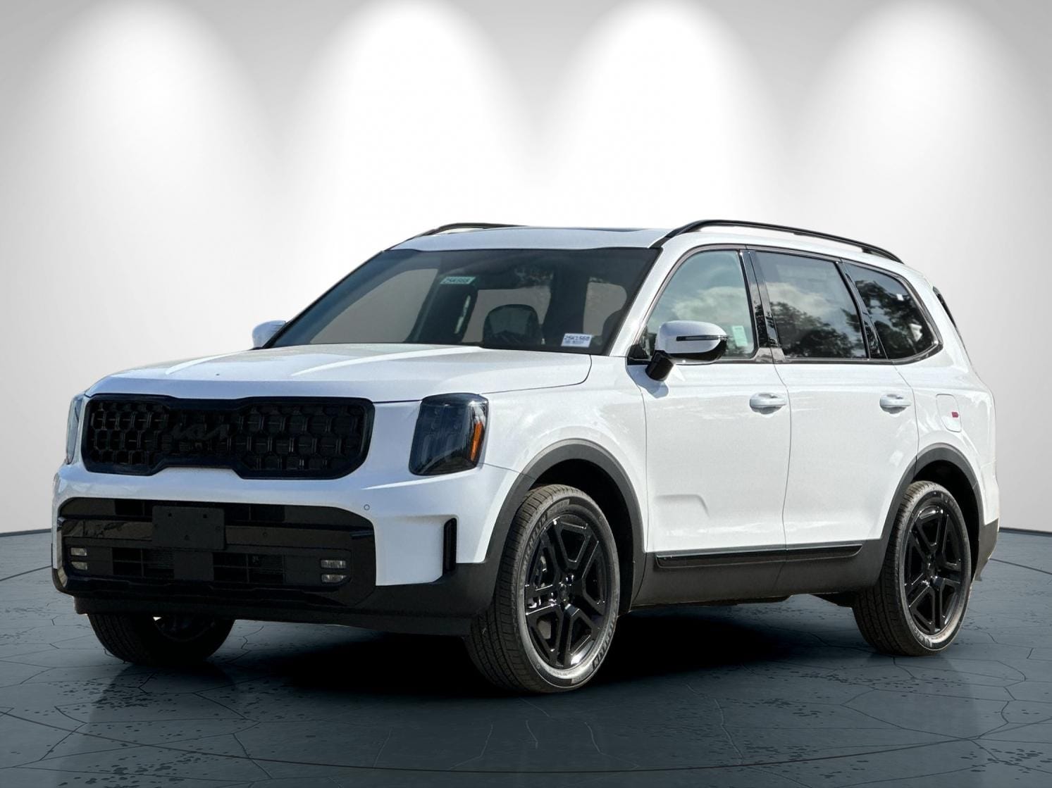 2025 Kia Telluride SX X-Line - Photo 8