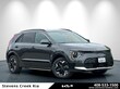  Kia Niro EV