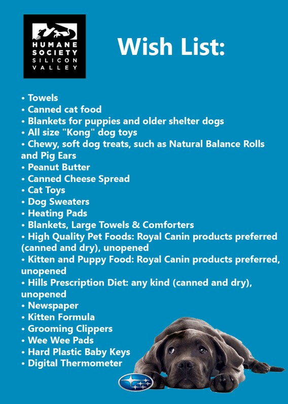 Center Every Dog Deserves A Subaru Sales Event Center Stevens Creek Subaru