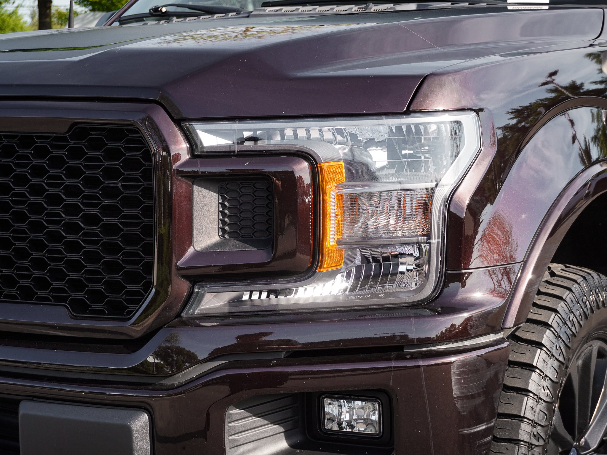 2019 Ford F-150 XLT photo 6