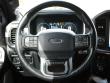 2023 Ford F-150 Platinum Pickup