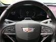 2025 CADILLAC CT5 Premium Luxury Sedan