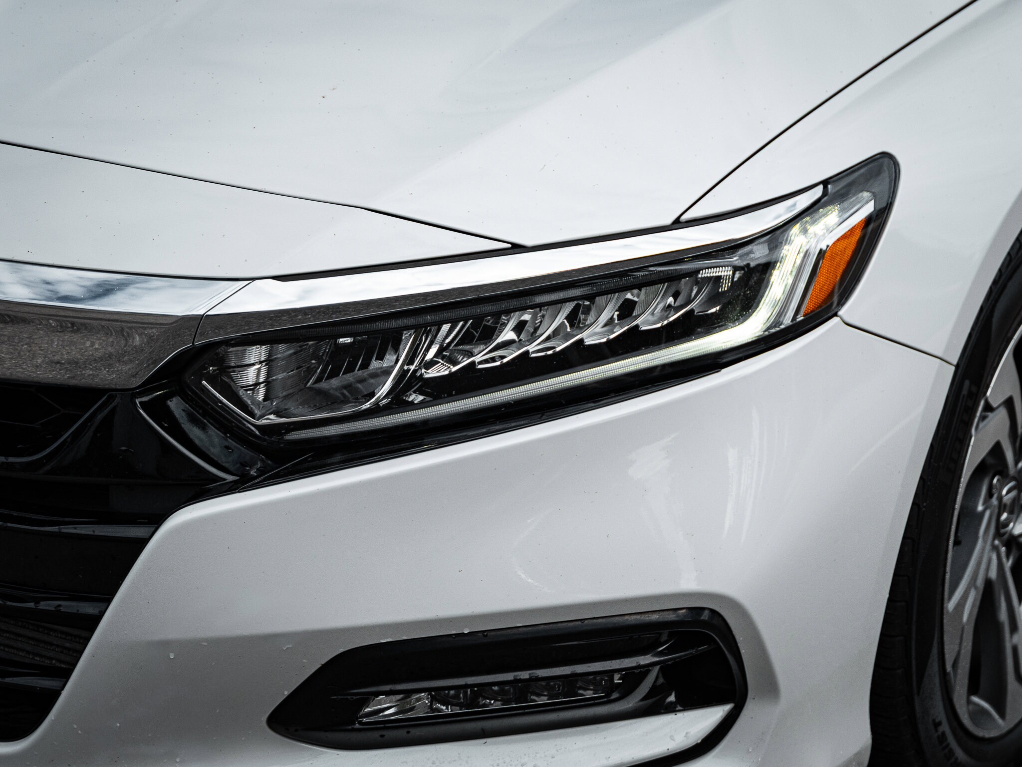 2020 Honda Accord EX-L photo 3
