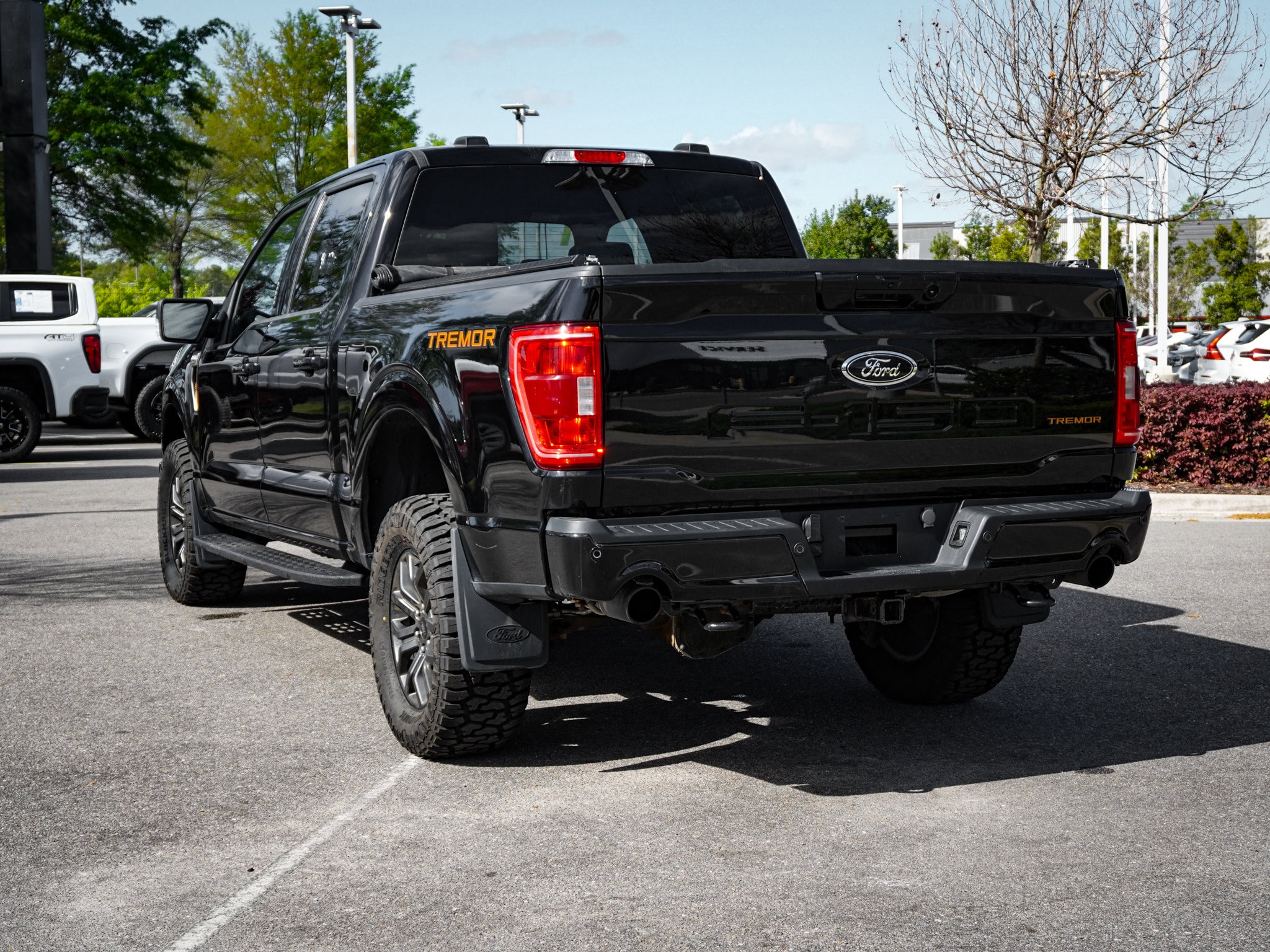 2023 Ford F-150 Tremor photo 5