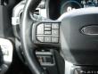 2023 Ford F-150 Platinum Pickup