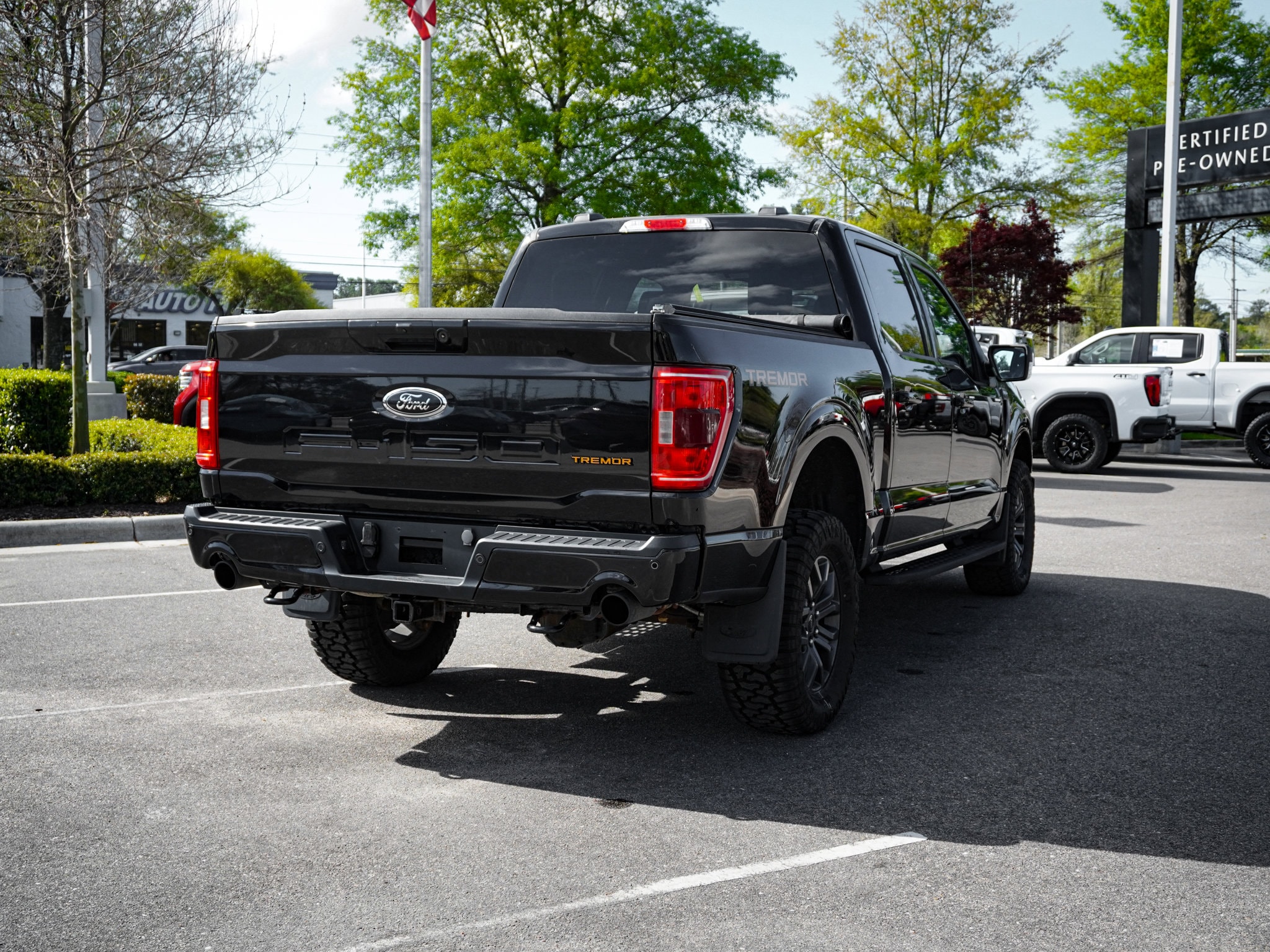 2023 Ford F-150 Tremor photo 3