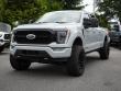 2023 Ford F-150 Platinum Pickup