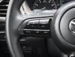 2025 Mazda Mazda3 Hatchback 2.5 S Premium Hatchback