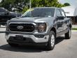 2023 Ford F-150 XLT Pickup