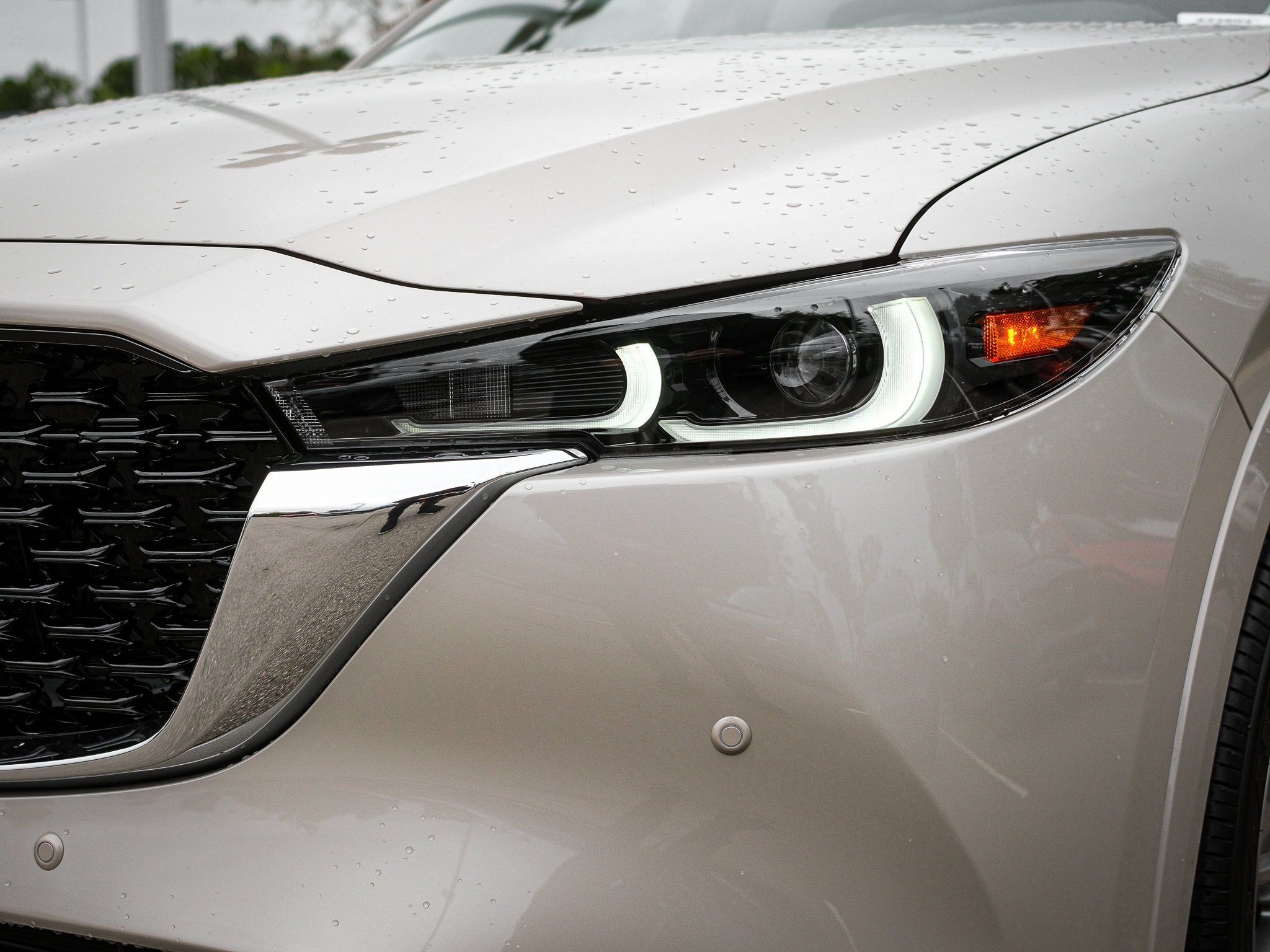2025 Mazda CX-5 2.5 S Premium Plus Package photo 4